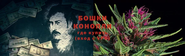 ешки Аркадак