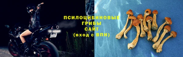а пвп мука Корсаков