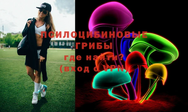 ешки Аркадак