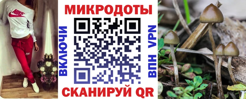 Галлюциногенные грибы прущие грибы  Борисоглебск 