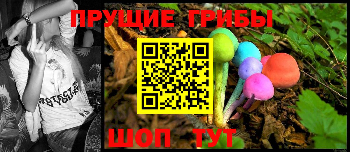 Борисоглебск  Псилоцибиновые грибы Cubensis  Галлюциногенные грибы Magic Shrooms  Вход с VPN 